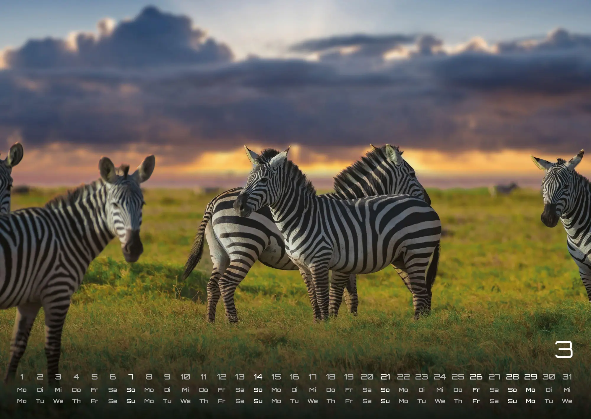 Bild: 9783986736910 | Afrikas Tierwelt - Der Tierkalender - 2027 - Kalender DIN A2 | de