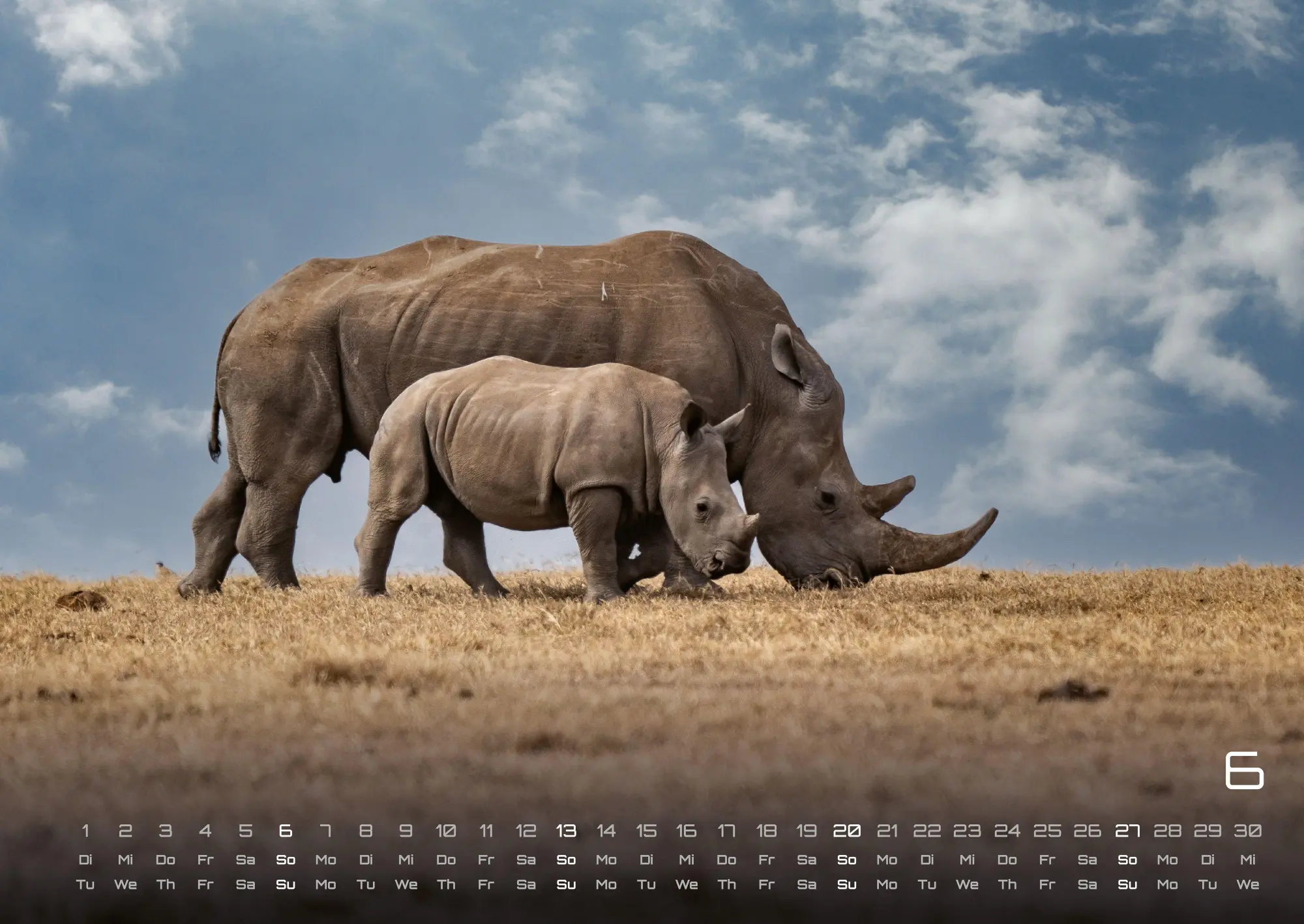 Bild: 9783986736910 | Afrikas Tierwelt - Der Tierkalender - 2027 - Kalender DIN A2 | de