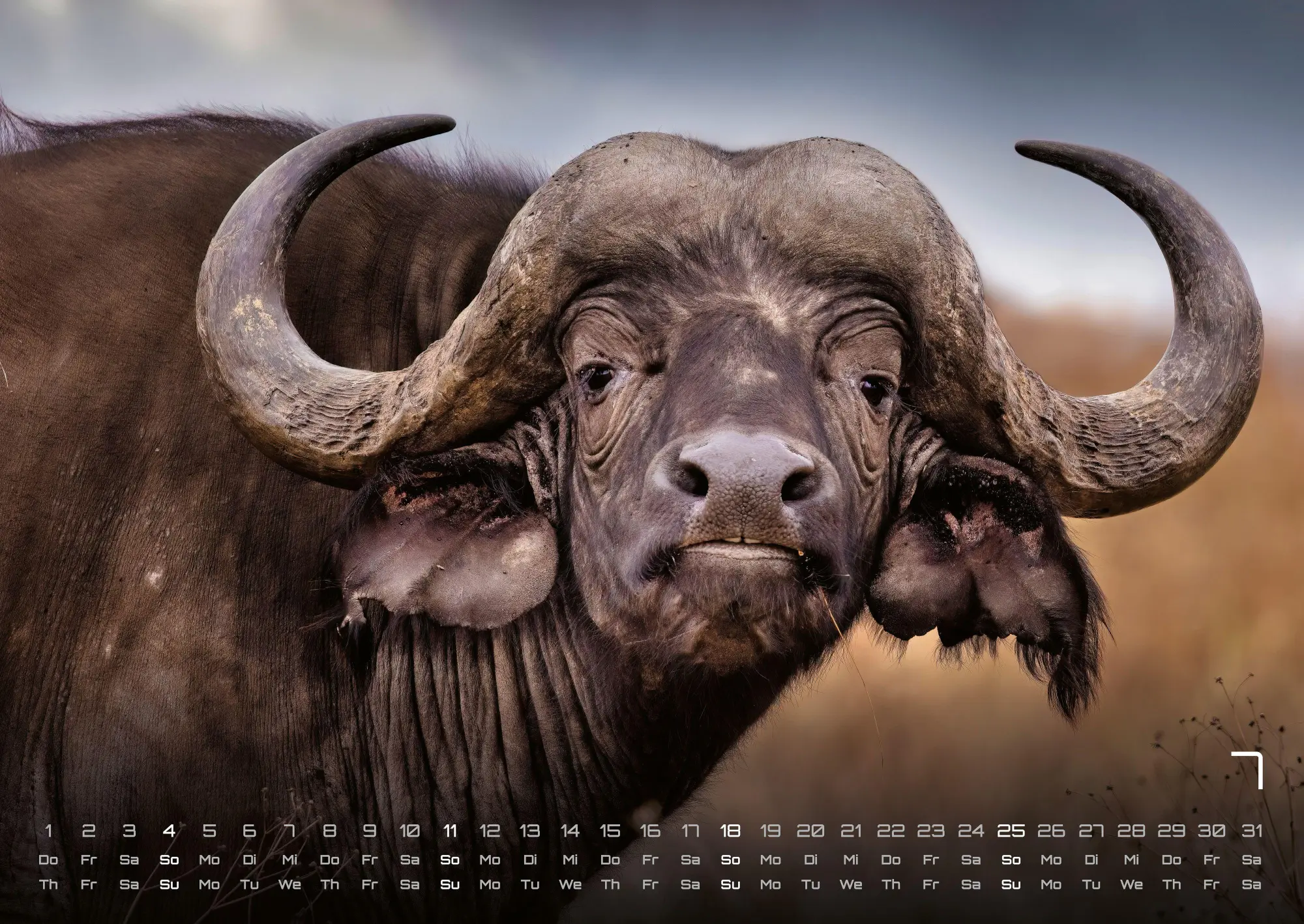 Bild: 9783986736910 | Afrikas Tierwelt - Der Tierkalender - 2027 - Kalender DIN A2 | de