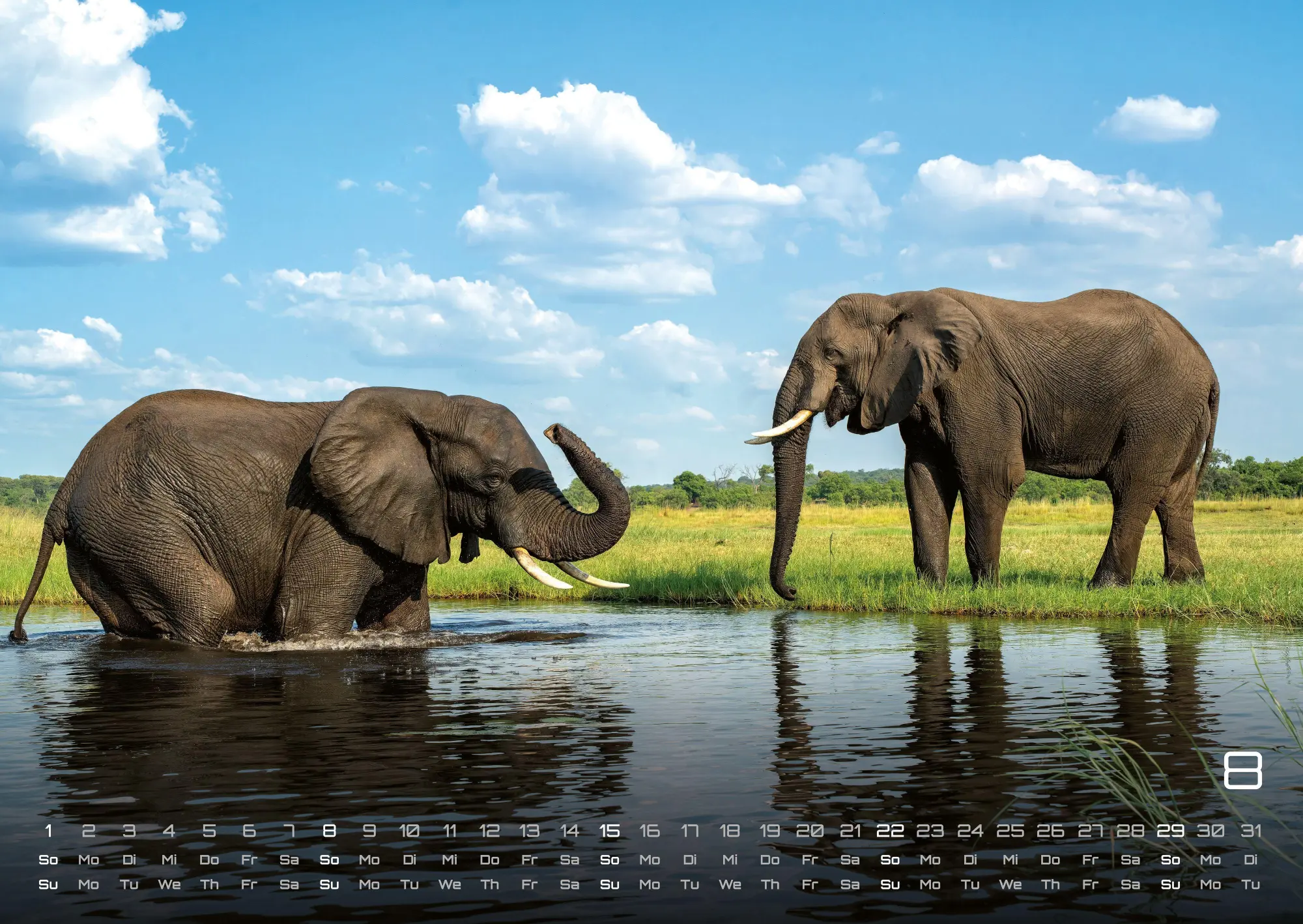 Bild: 9783986736910 | Afrikas Tierwelt - Der Tierkalender - 2027 - Kalender DIN A2 | de