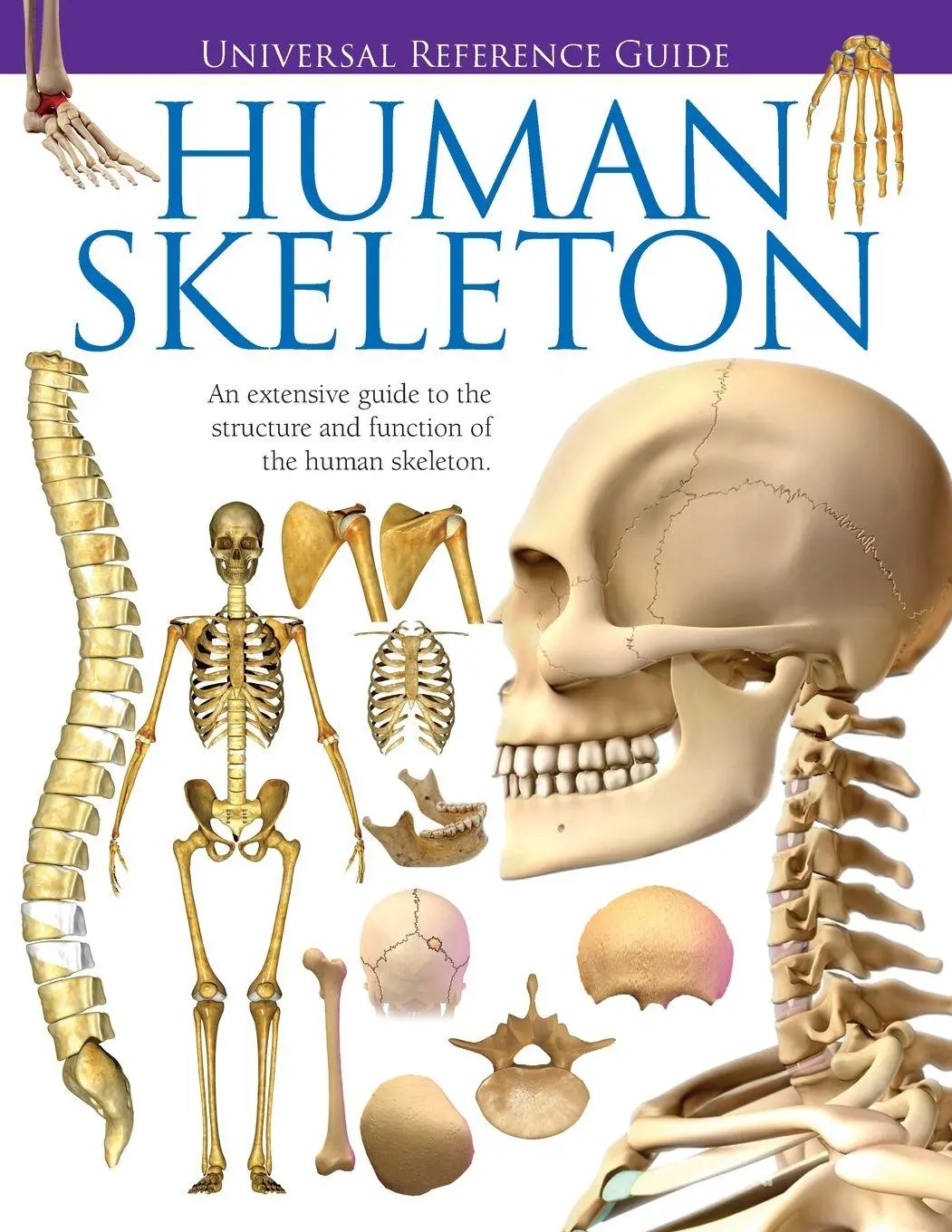 Cover: 9789381216910 | Universal Reference Guide - HUMAN SKELETON | Jason Luke Starr | Buch