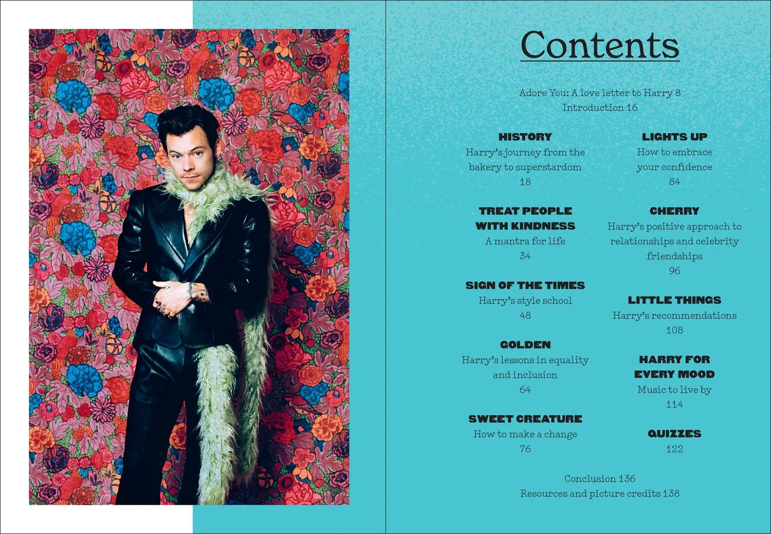 Bild: 9780008487010 | BK OF HARRY HB | A Celebration of Harry Styles | Charlotte McLaren
