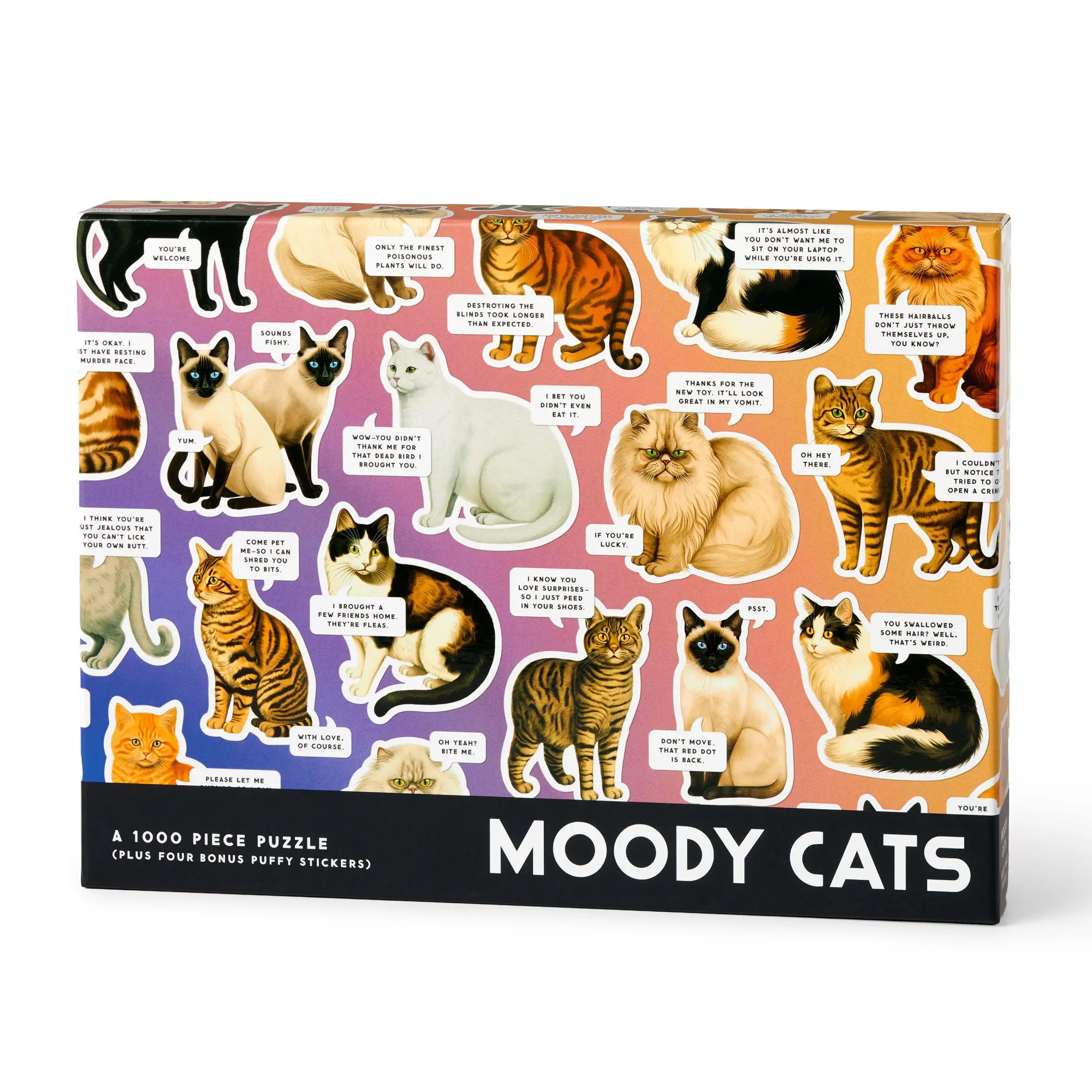Cover: 9780735387010 | Moody Cats 1000 Piece Puzzle | Brass Brass Monkey | Englisch | 2026