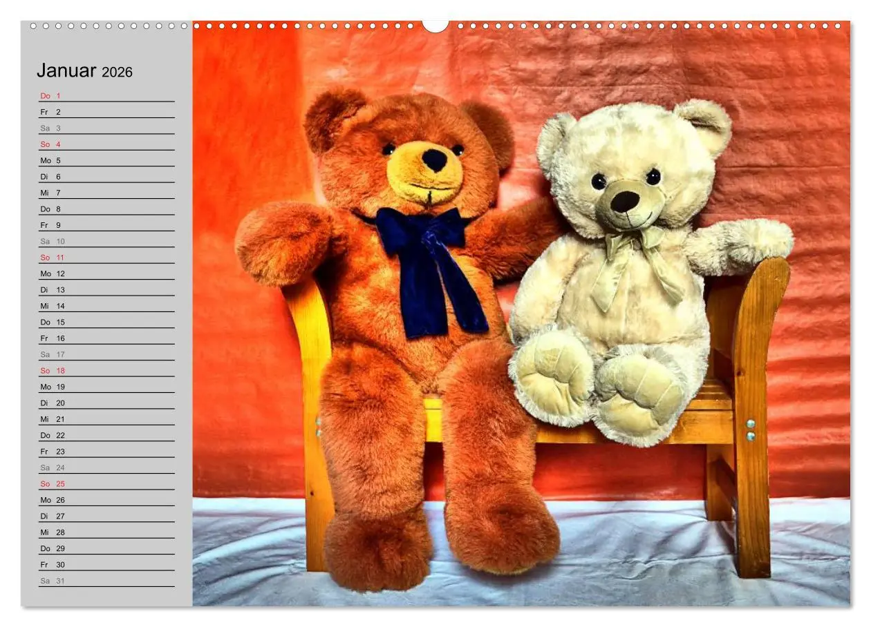 Bild: 9783457967010 | TEDDYBÄR, OH TEDDYBÄR... (hochwertiger Premium Wandkalender 2026...