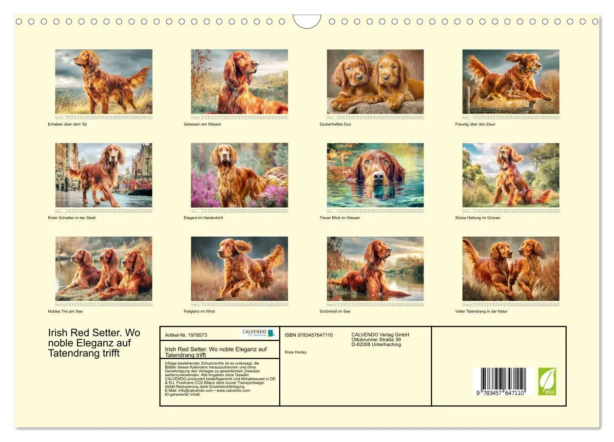 Bild: 9783457647110 | Irish Red Setter. Wo noble Eleganz auf Tatendrang trifft...