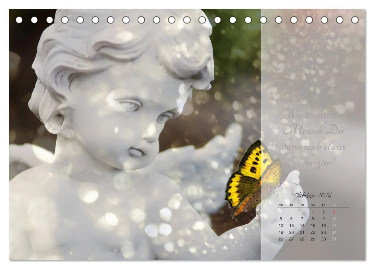 Bild: 9783457957110 | Engel - Träume und Zitate (Tischkalender 2026 DIN A5 quer),...