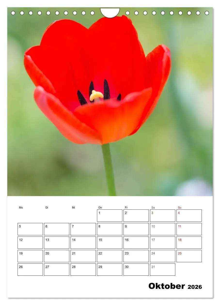 Bild: 9783516427110 | Farben der Natur (Wandkalender 2026 DIN A4 hoch), CALVENDO...