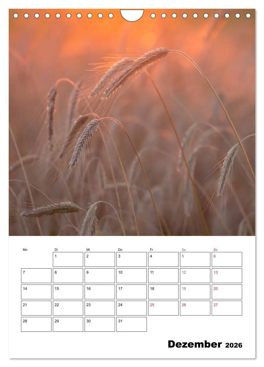 Bild: 9783516427110 | Farben der Natur (Wandkalender 2026 DIN A4 hoch), CALVENDO...