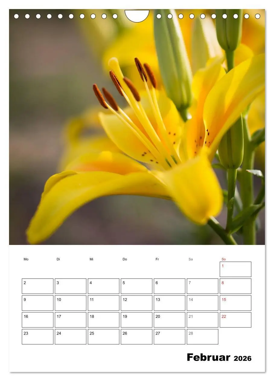 Bild: 9783516427110 | Farben der Natur (Wandkalender 2026 DIN A4 hoch), CALVENDO...