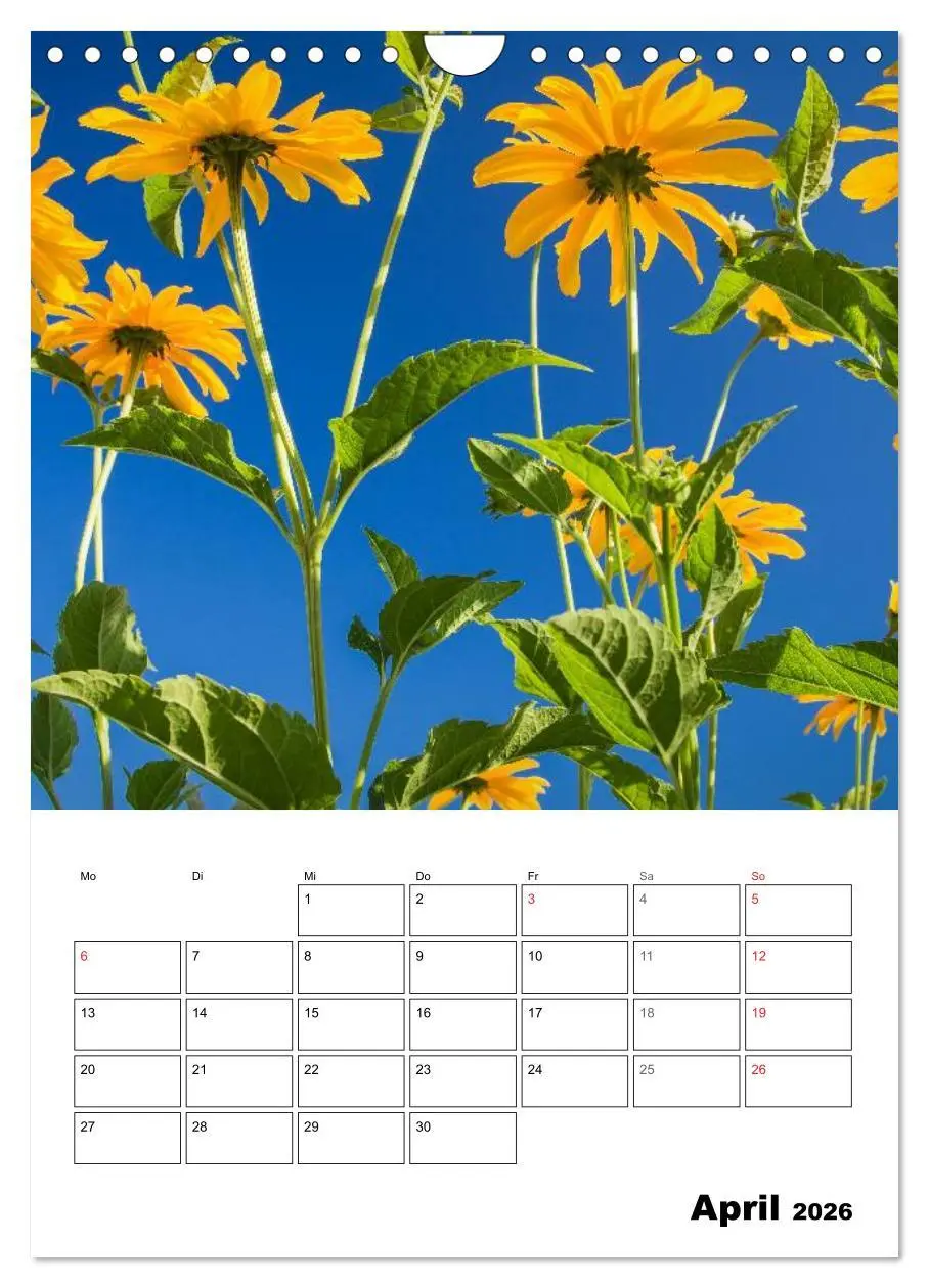 Bild: 9783516427110 | Farben der Natur (Wandkalender 2026 DIN A4 hoch), CALVENDO...