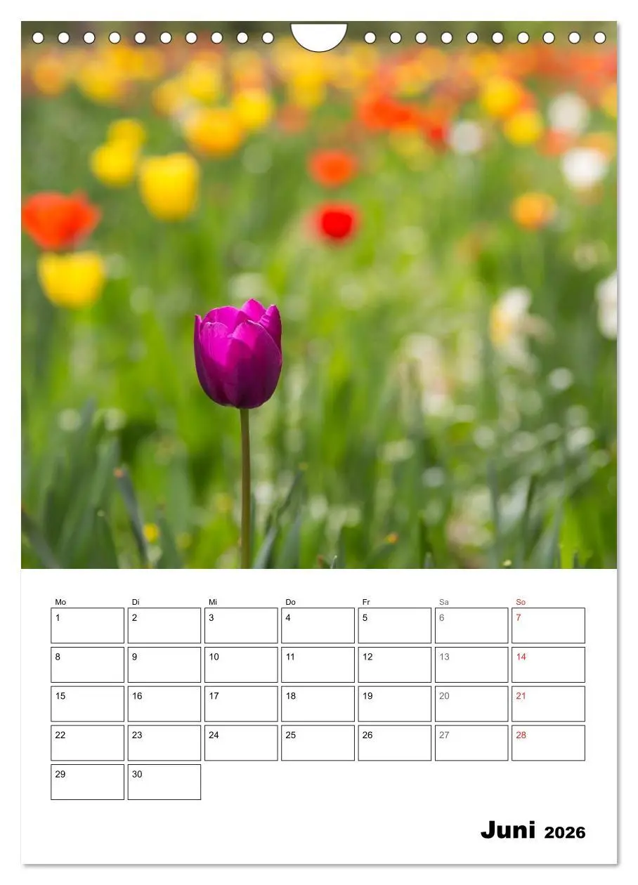 Bild: 9783516427110 | Farben der Natur (Wandkalender 2026 DIN A4 hoch), CALVENDO...