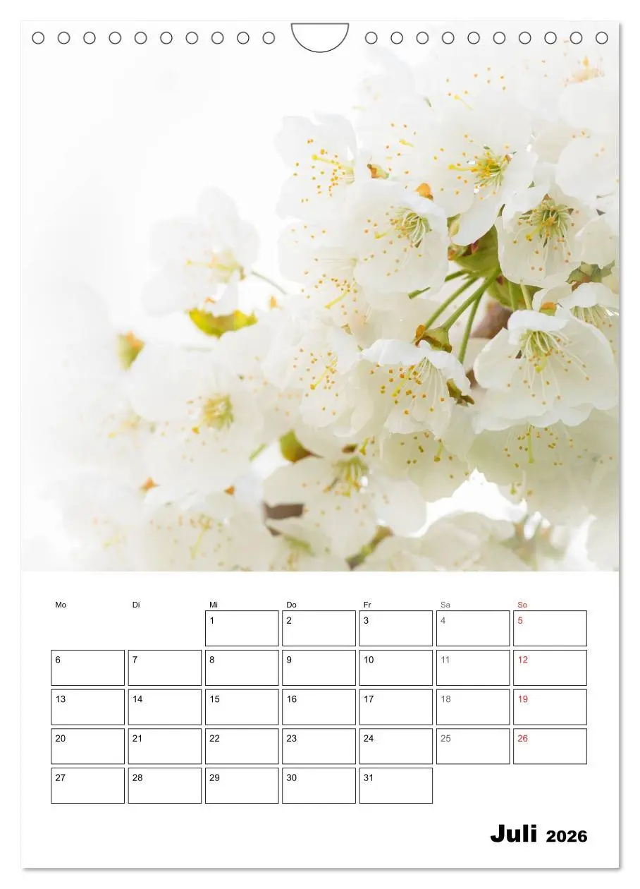 Bild: 9783516427110 | Farben der Natur (Wandkalender 2026 DIN A4 hoch), CALVENDO...