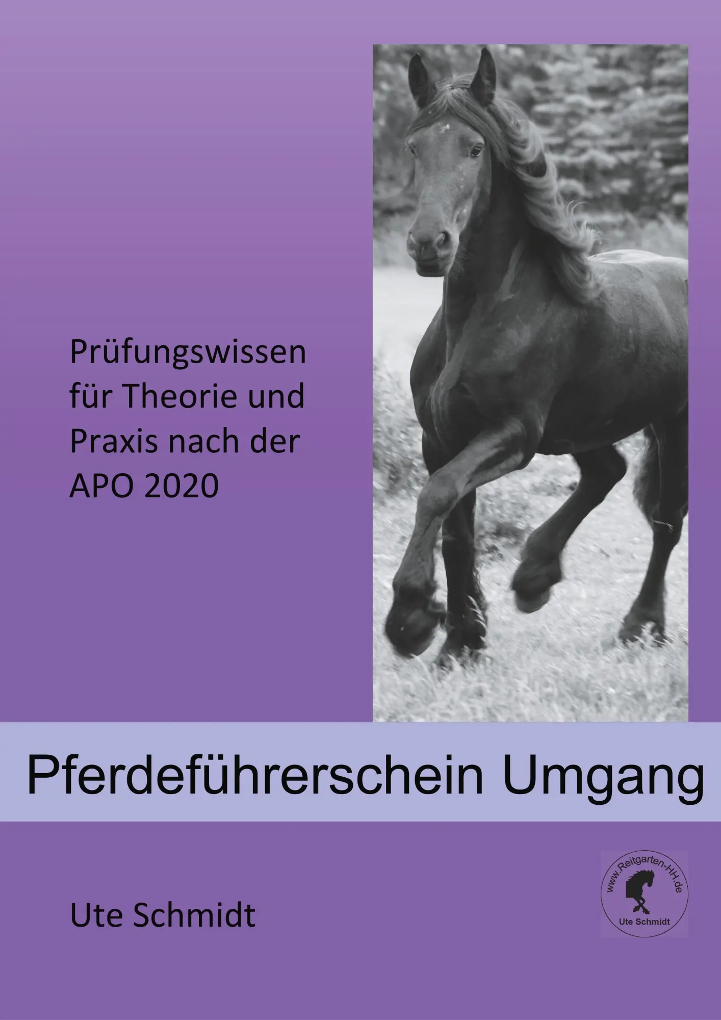 Cover: 9783750437210 | Pferdeführerschein Umgang | Ute Schmidt | Taschenbuch | 64 S. | 2020