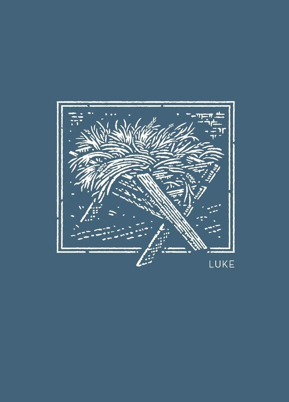 Cover: 9780785237310 | NET Abide Bible Journal - Luke, Paperback, Comfort Print Softcover