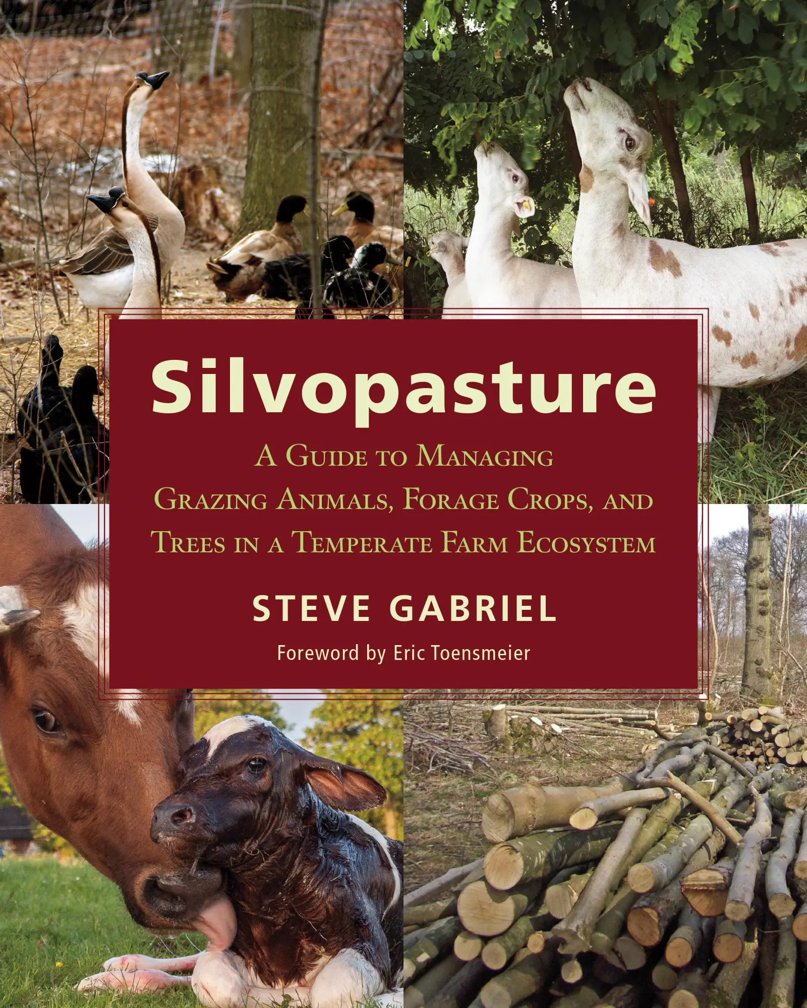 Cover: 9781603587310 | Silvopasture | Steve Gabriel | Taschenbuch | Kartoniert / Broschiert