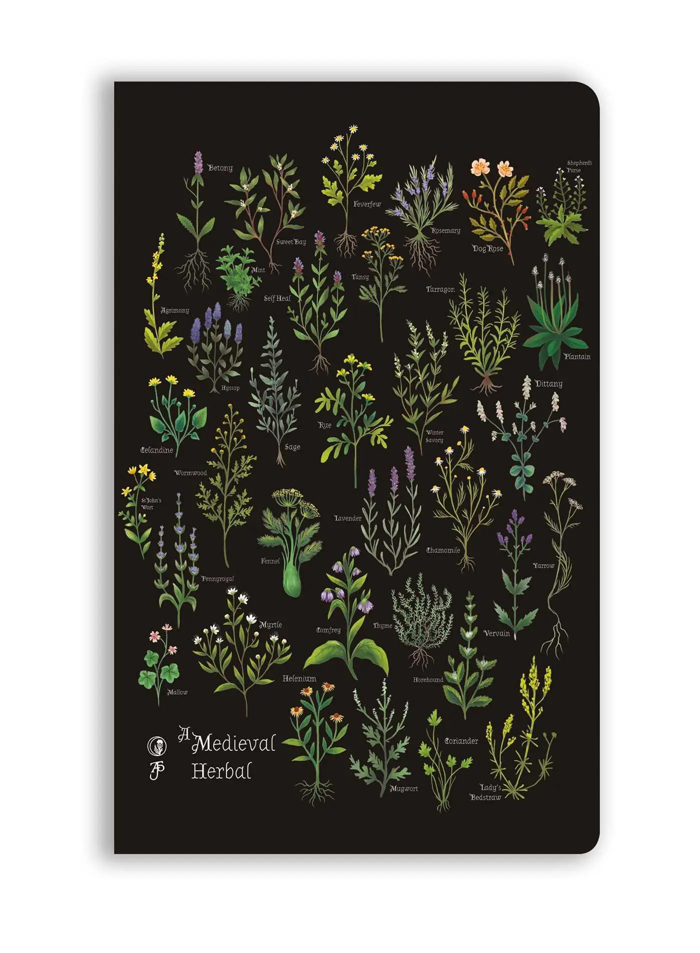 Cover: 9781835627310 | Anna Stead: A Medieval Herbal (Soft Touch Journal) | Publishing | Buch