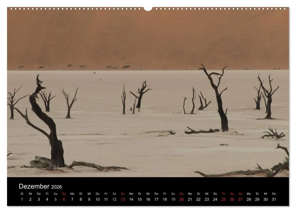 Bild: 9783516197310 | Wüstenzauber Namibia (hochwertiger Premium Wandkalender 2026 DIN A2...
