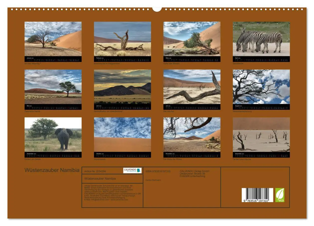 Bild: 9783516197310 | Wüstenzauber Namibia (hochwertiger Premium Wandkalender 2026 DIN A2...
