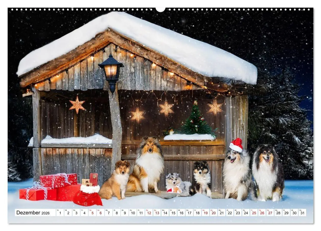 Bild: 9783516717310 | Traumhund Collie - Mein bester Freund (Wandkalender 2026 DIN A2...
