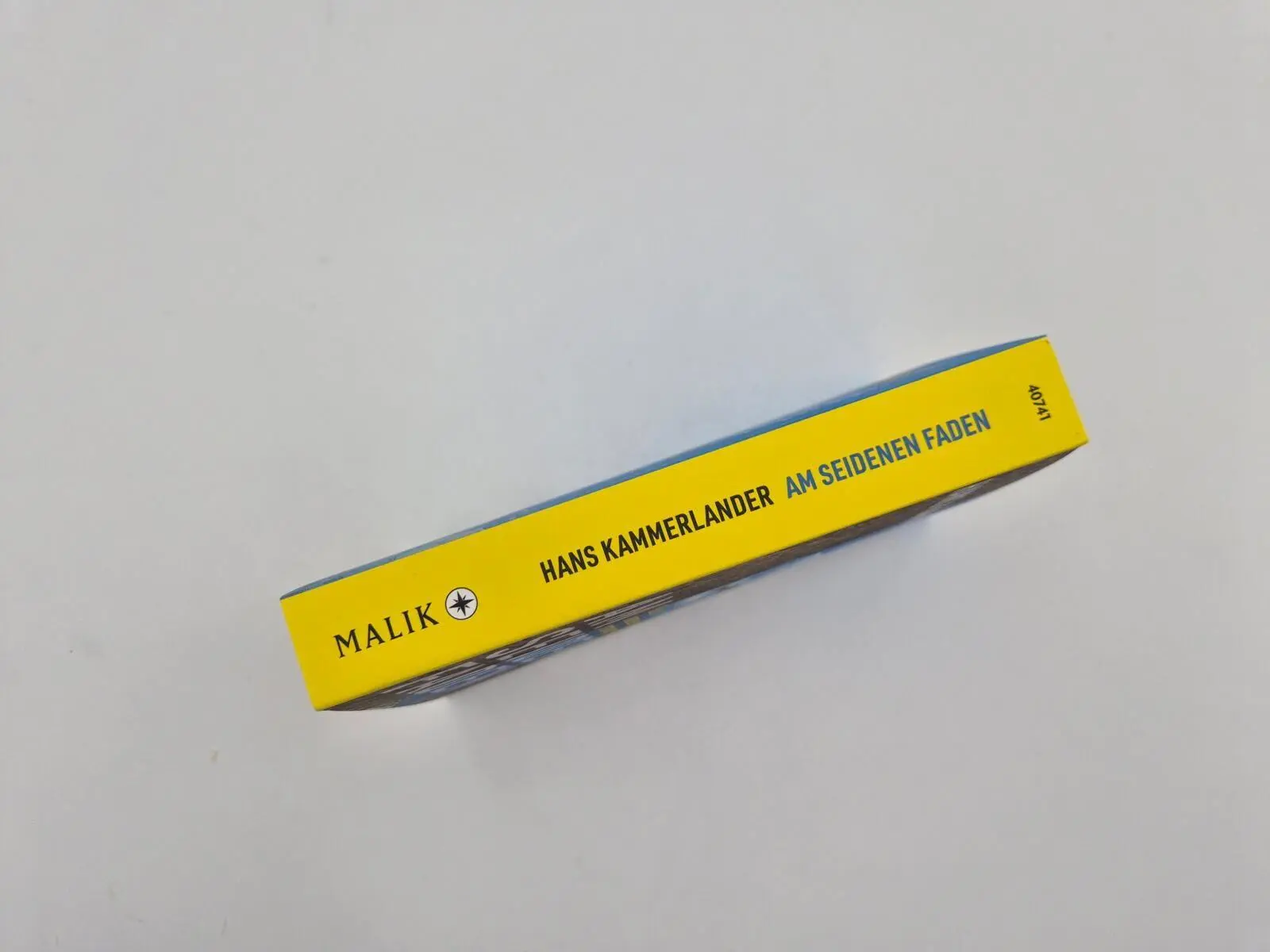 Bild: 9783492407410 | Am seidenen Faden | Hans Kammerlander | Taschenbuch | 368 S. | Deutsch