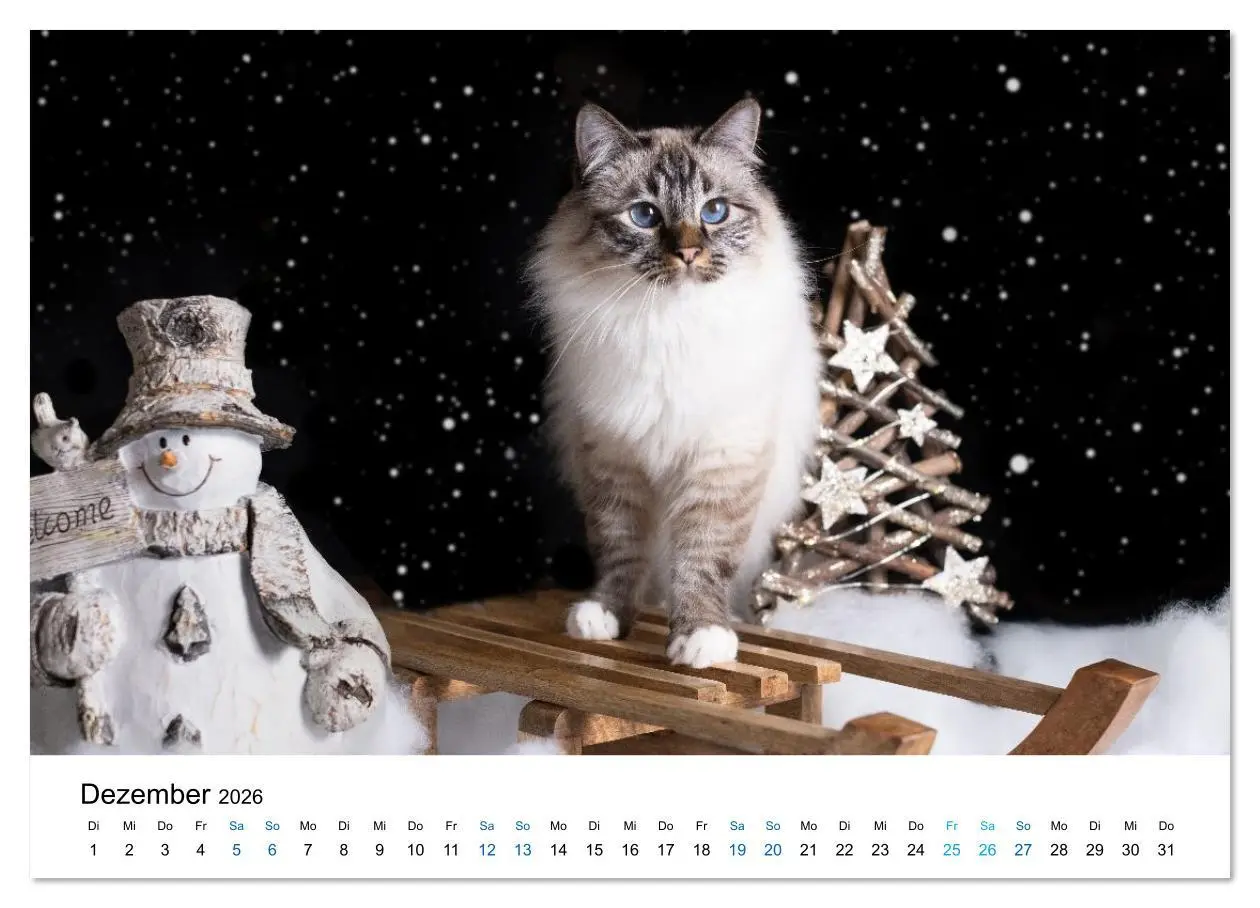 Bild: 9783516637410 | Heilige Birma Katzen - Eine Rasse mit traumhaft blauen Augen....