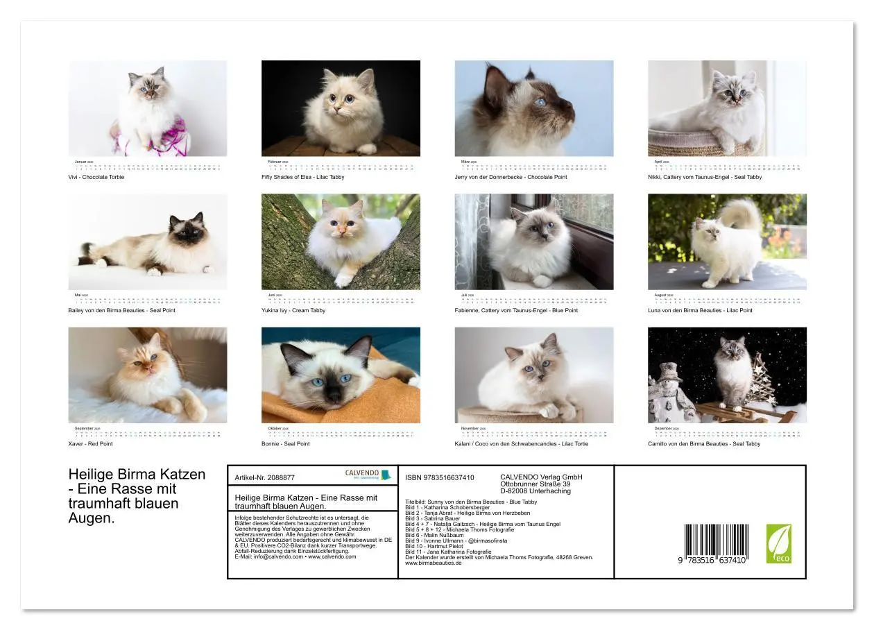 Bild: 9783516637410 | Heilige Birma Katzen - Eine Rasse mit traumhaft blauen Augen....