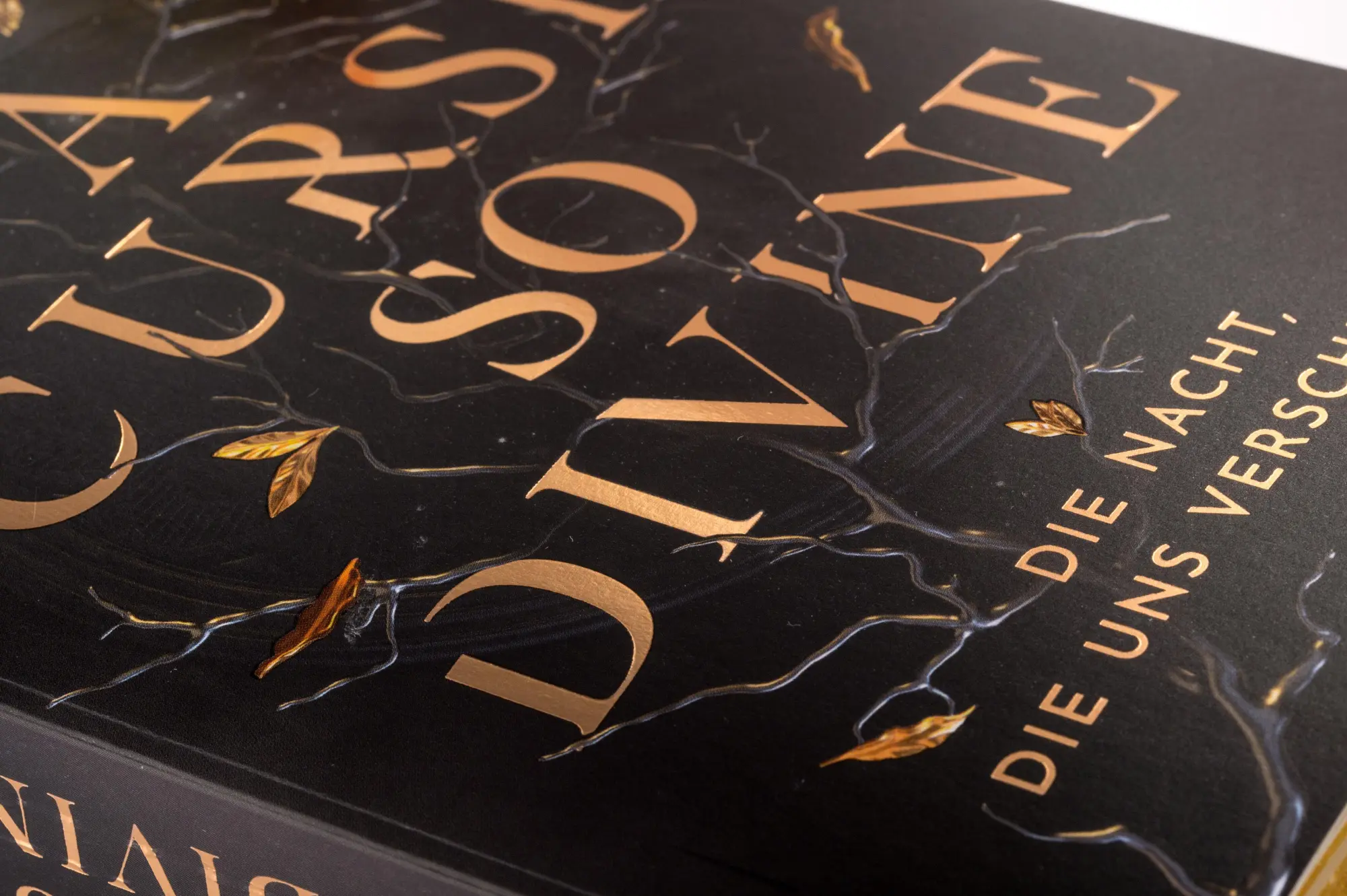 Bild: 9783570167410 | A Curse so Divine - Die Nacht, die uns verschlingt | Emily Bähr | Buch