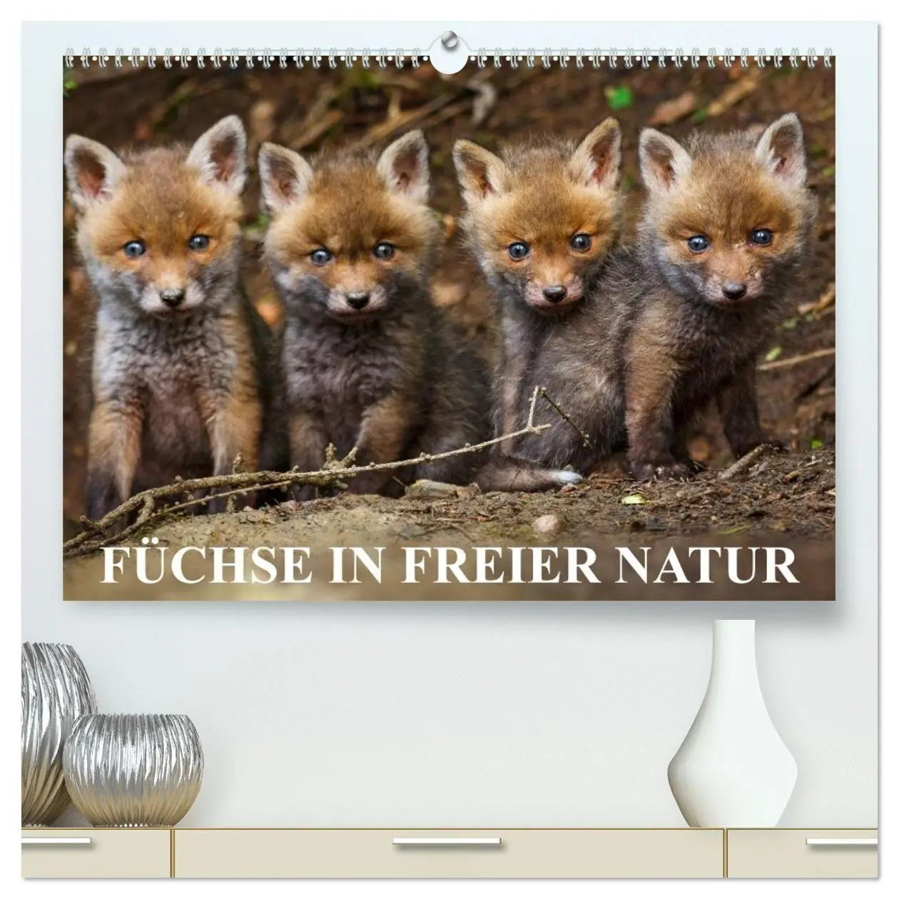 Cover: 9783594167410 | Füchse in freier Natur (hochwertiger Premium Wandkalender 2027 DIN...
