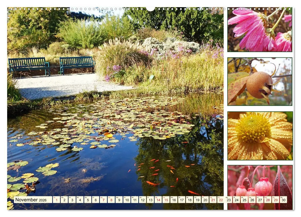 Bild: 9783457917510 | Im Hermannshof - Ein Traumgarten in Weinheim (Wandkalender 2026 DIN...