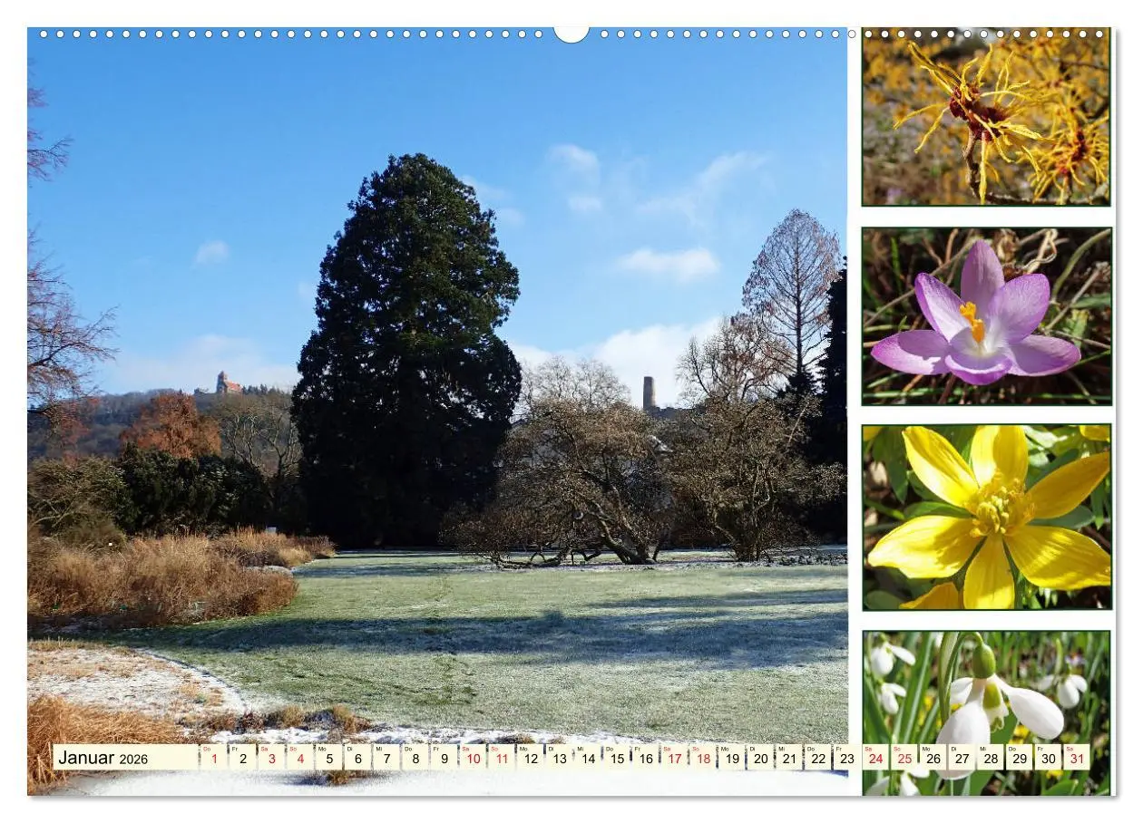 Bild: 9783457917510 | Im Hermannshof - Ein Traumgarten in Weinheim (Wandkalender 2026 DIN...