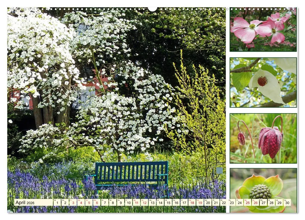 Bild: 9783457917510 | Im Hermannshof - Ein Traumgarten in Weinheim (Wandkalender 2026 DIN...