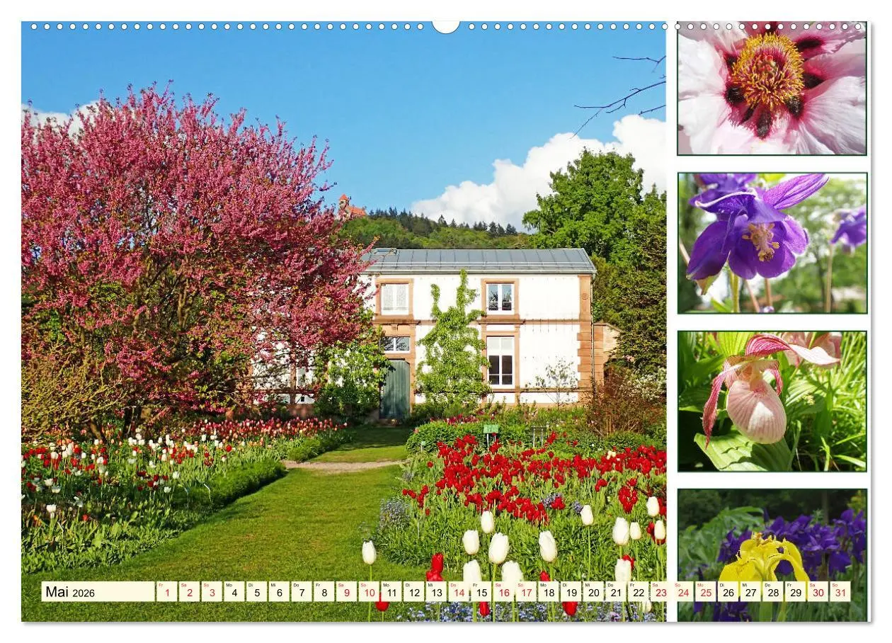 Bild: 9783457917510 | Im Hermannshof - Ein Traumgarten in Weinheim (Wandkalender 2026 DIN...