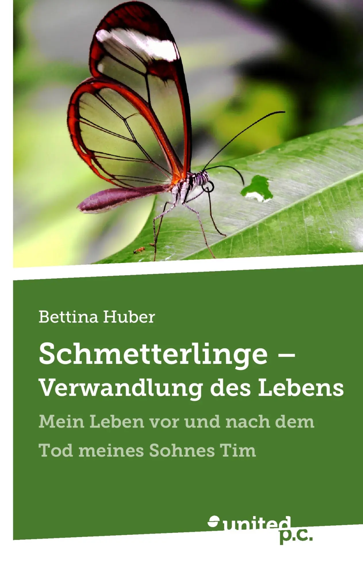 Cover: 9788490157510 | Schmetterlinge - Verwandlung des Lebens | Bettina Huber | Taschenbuch