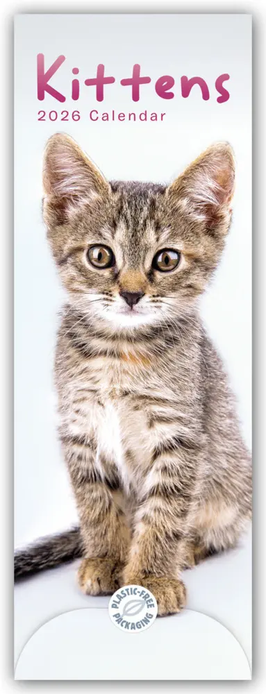 Cover: 9781529847710 | Kittens - Kätzchen - Katzenjunge 2026 - Slimline-Kalender | Calendar