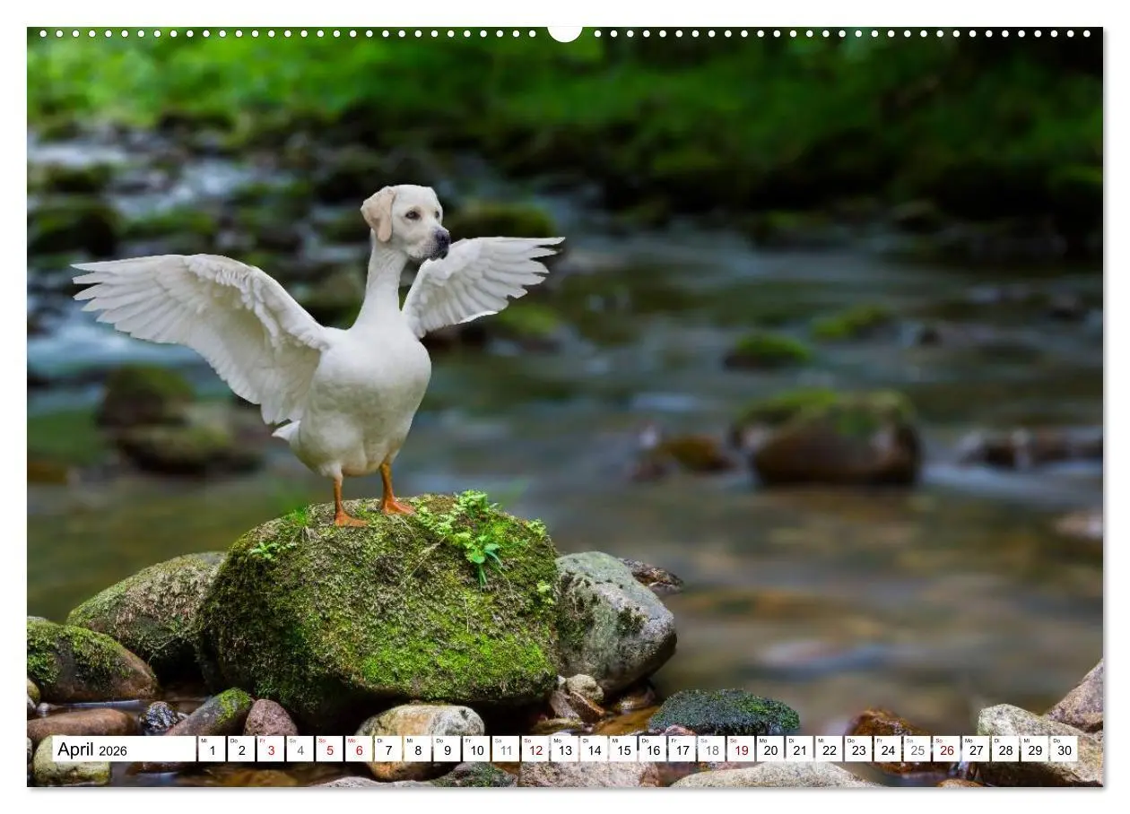 Bild: 9783457757710 | Lustige Tier-Hybriden (hochwertiger Premium Wandkalender 2026 DIN...