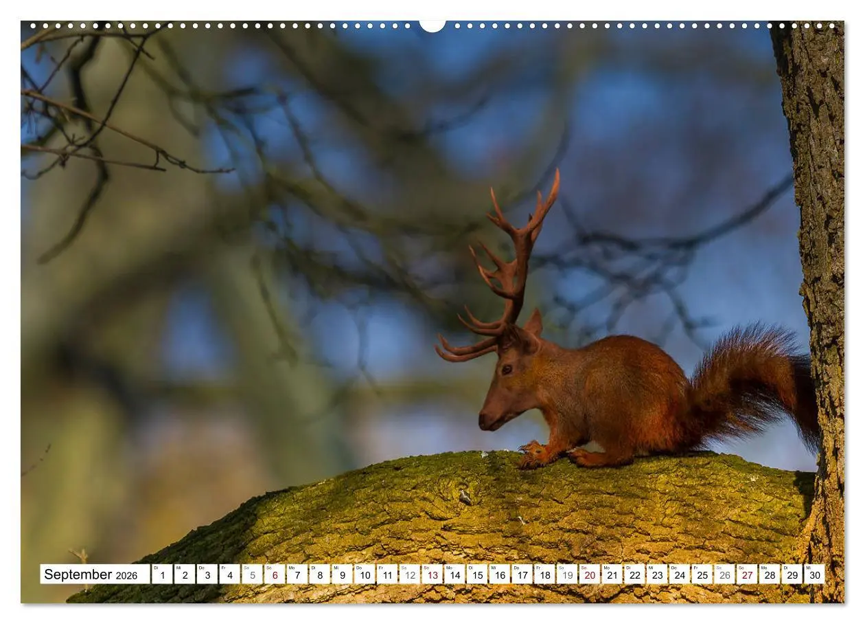 Bild: 9783457757710 | Lustige Tier-Hybriden (hochwertiger Premium Wandkalender 2026 DIN...