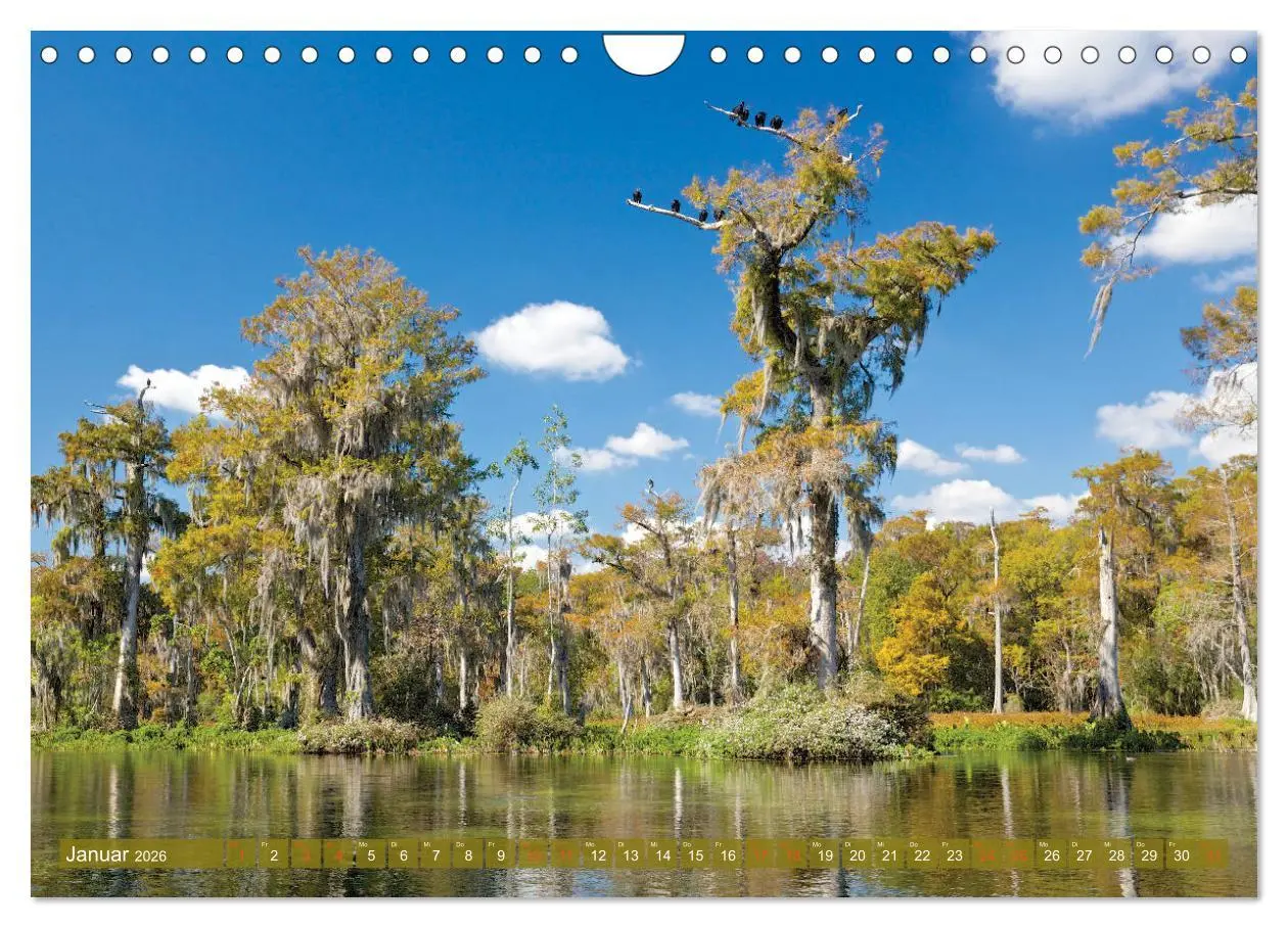 Bild: 9783457827710 | GEOclick calendar: Florida (Wandkalender 2026 DIN A4 quer),...
