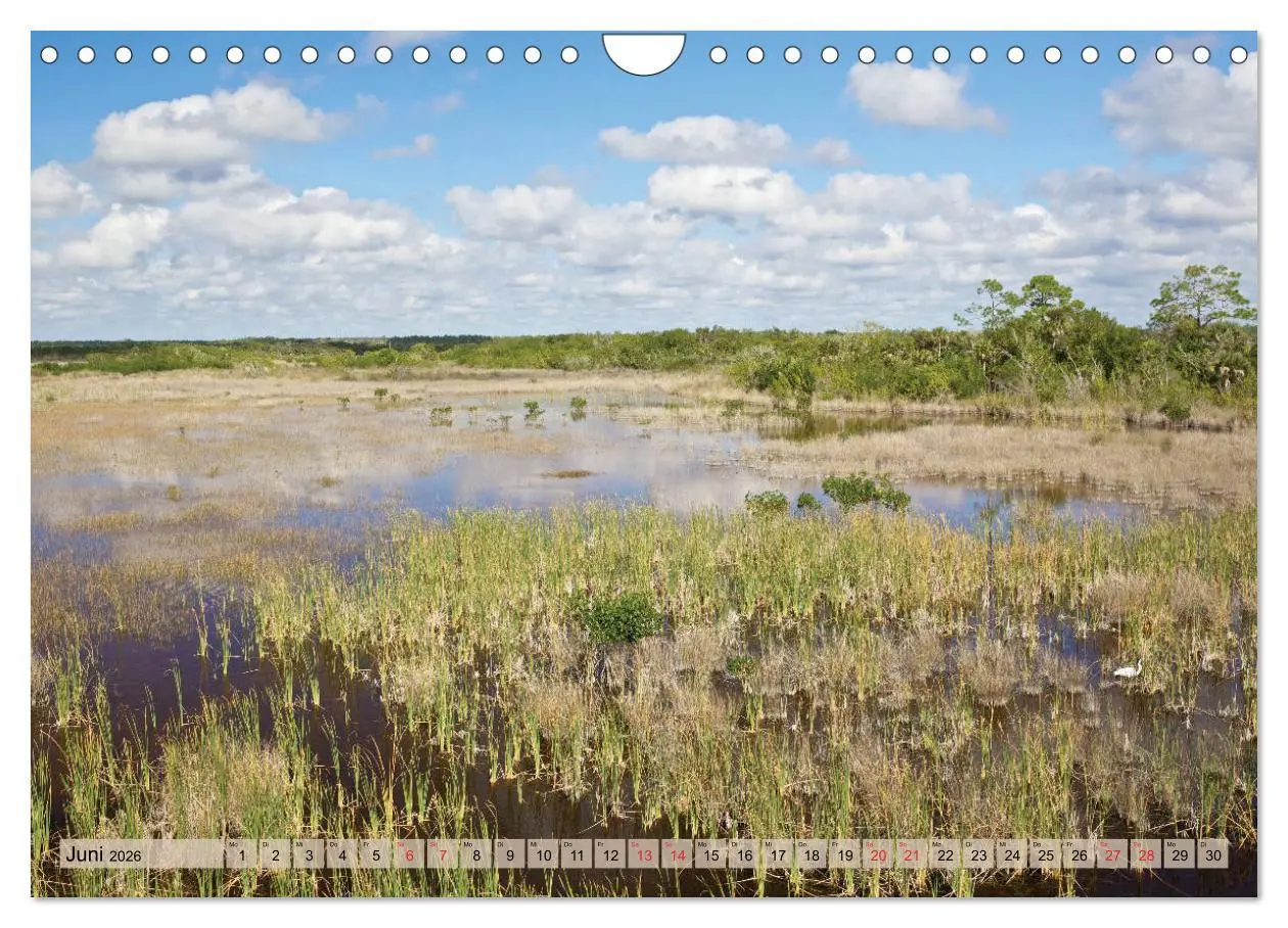 Bild: 9783457827710 | GEOclick calendar: Florida (Wandkalender 2026 DIN A4 quer),...
