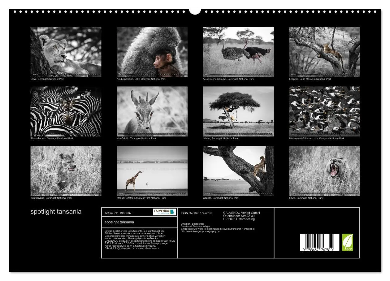 Bild: 9783457747810 | spotlight tansania (hochwertiger Premium Wandkalender 2026 DIN A2...