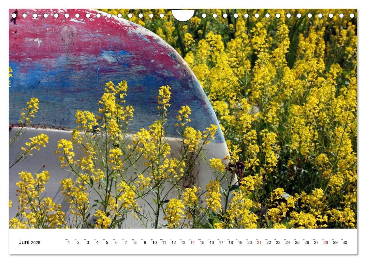 Bild: 9783516217810 | Bootsansichten (Wandkalender 2026 DIN A4 quer), CALVENDO...