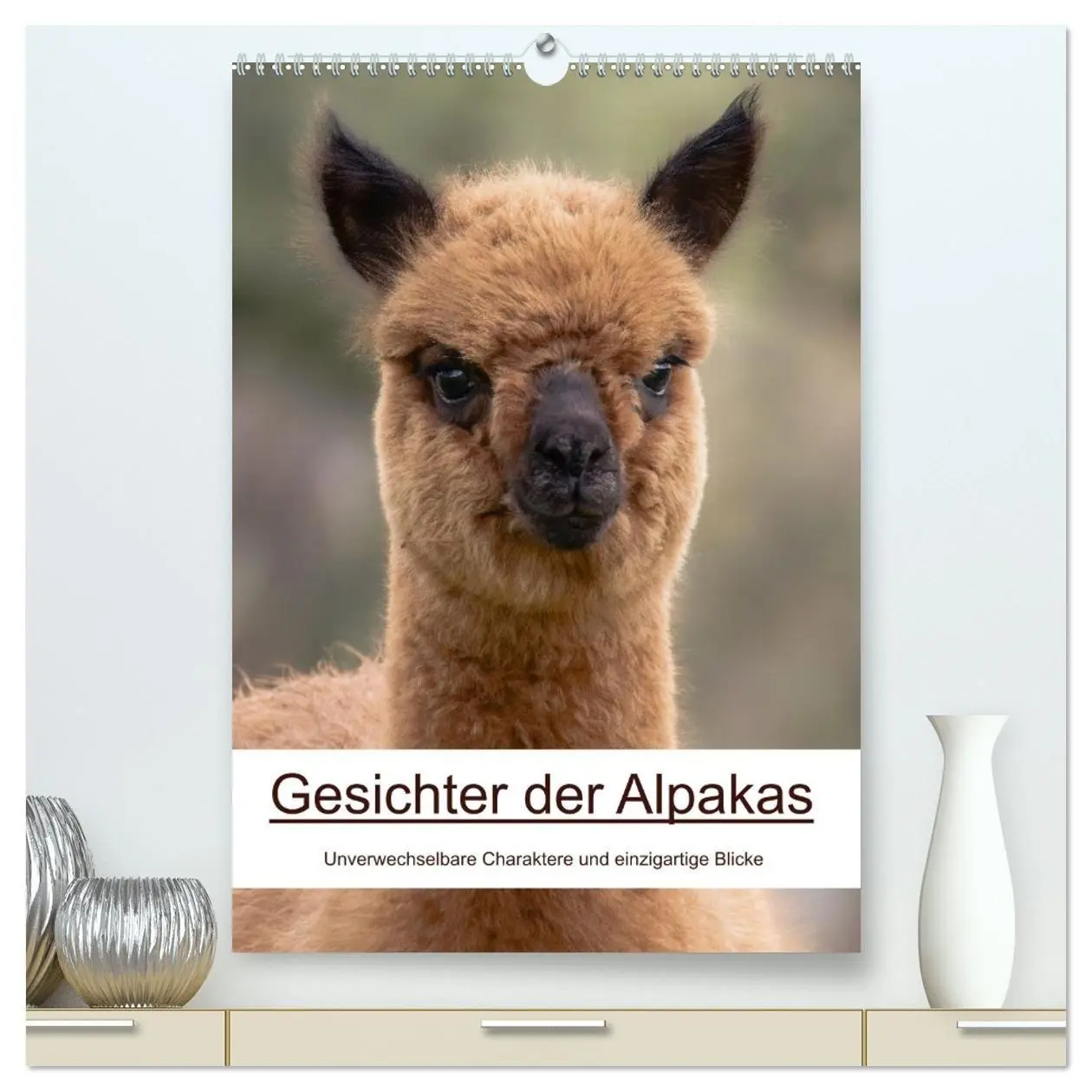 Cover: 9783516697810 | Gesichter der Alpakas - Unverwechselbare Charaktere und...