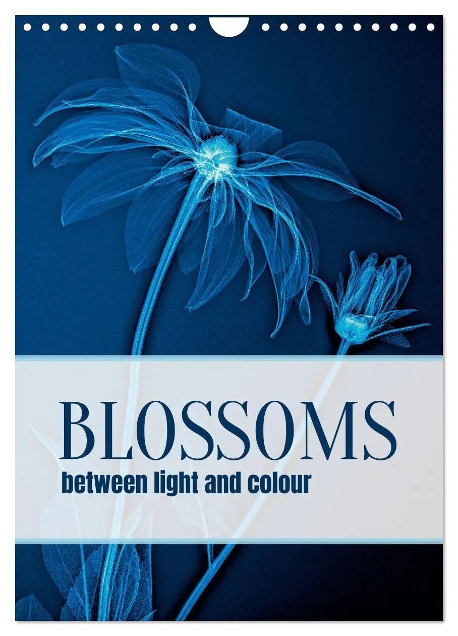 Cover: 9783516767810 | Blossoms between light and colour (Wall Calendar 2027 DIN A4...