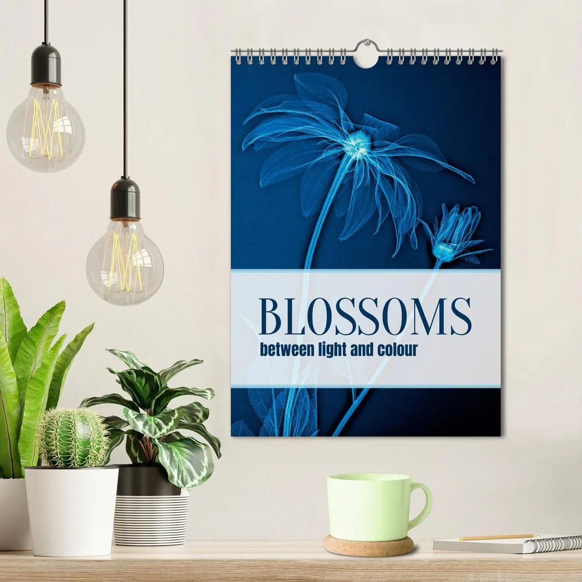 Bild: 9783516767810 | Blossoms between light and colour (Wall Calendar 2027 DIN A4...