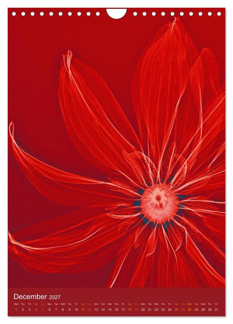 Bild: 9783516767810 | Blossoms between light and colour (Wall Calendar 2027 DIN A4...