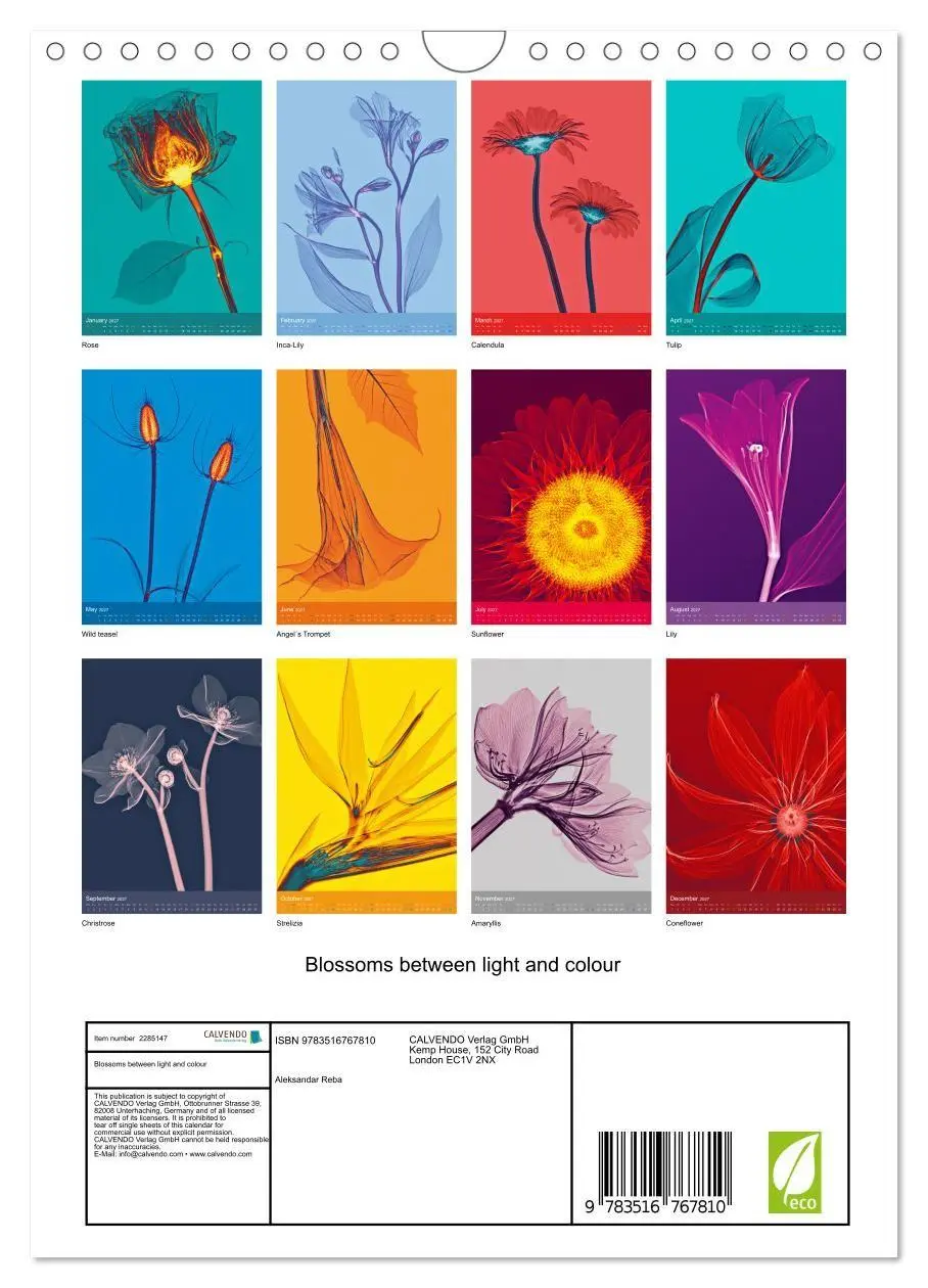 Bild: 9783516767810 | Blossoms between light and colour (Wall Calendar 2027 DIN A4...