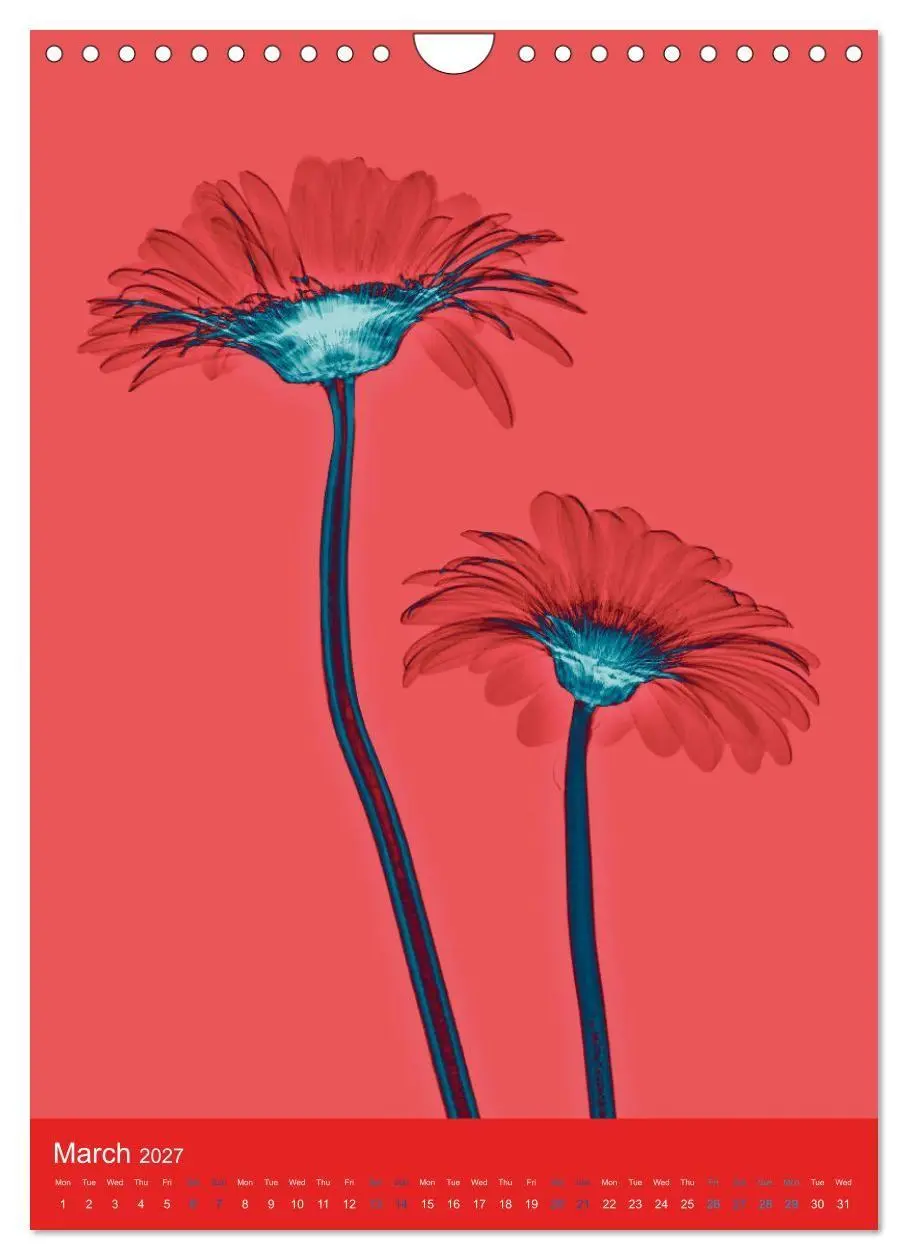 Bild: 9783516767810 | Blossoms between light and colour (Wall Calendar 2027 DIN A4...