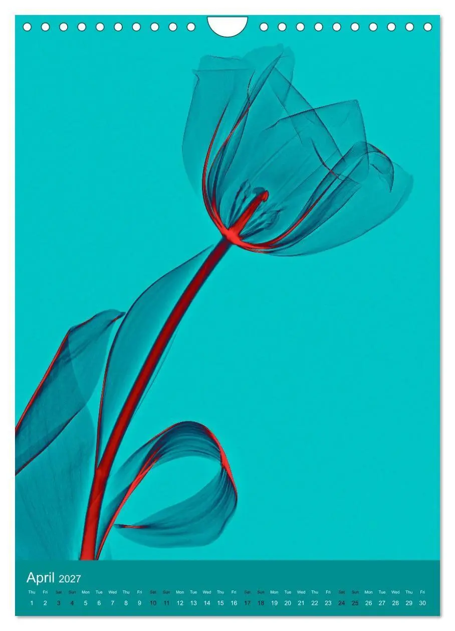 Bild: 9783516767810 | Blossoms between light and colour (Wall Calendar 2027 DIN A4...