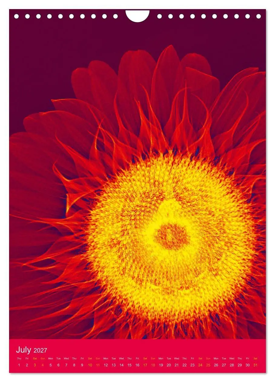 Bild: 9783516767810 | Blossoms between light and colour (Wall Calendar 2027 DIN A4...