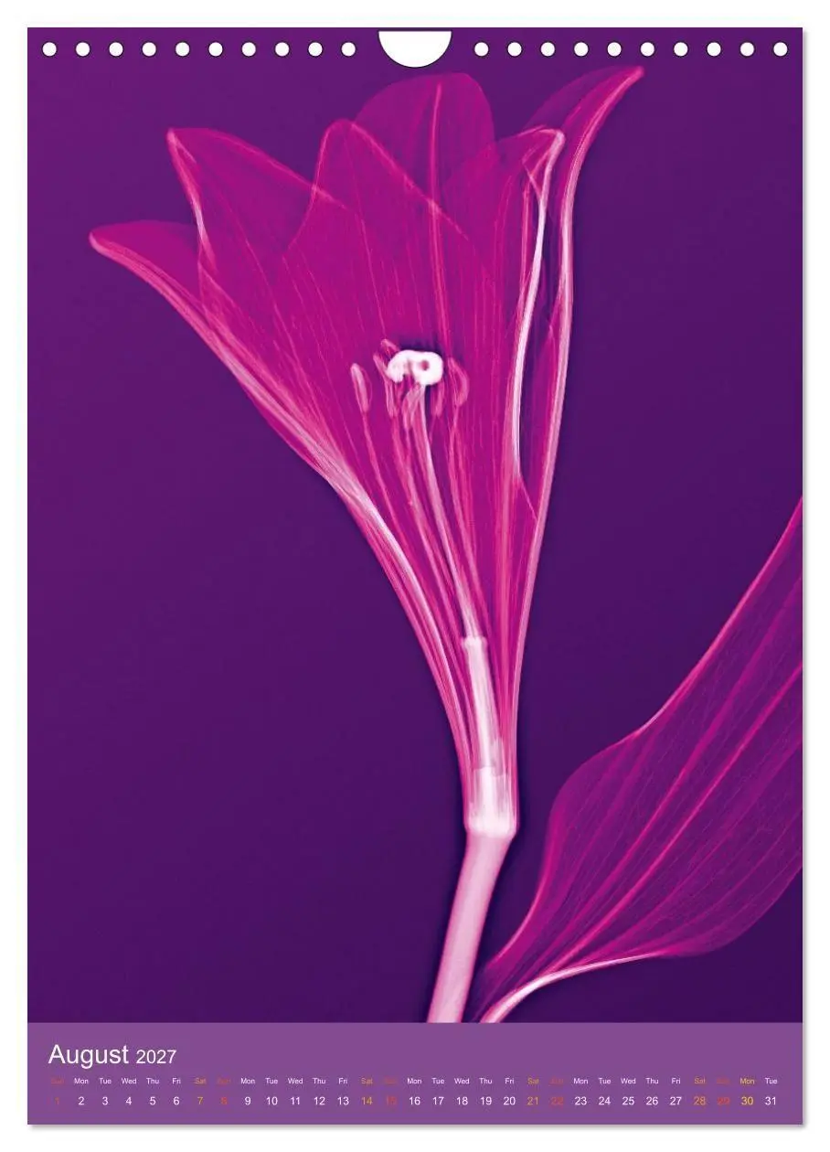Bild: 9783516767810 | Blossoms between light and colour (Wall Calendar 2027 DIN A4...