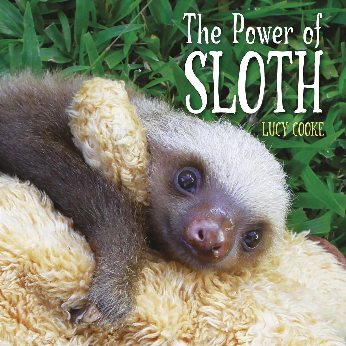 Cover: 9781445127910 | The Power of Sloth | Lucy Cooke | Taschenbuch | Englisch | 2018